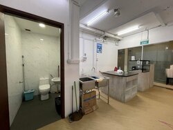 Lorong N Telok Kurau (D15), Shop House #456725131